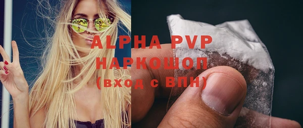 твердый Богданович