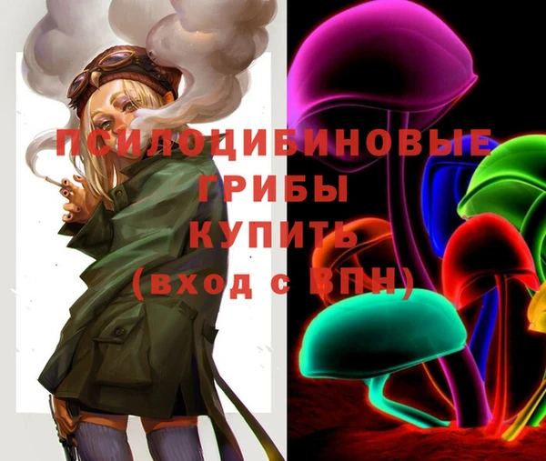 спиды Богородск