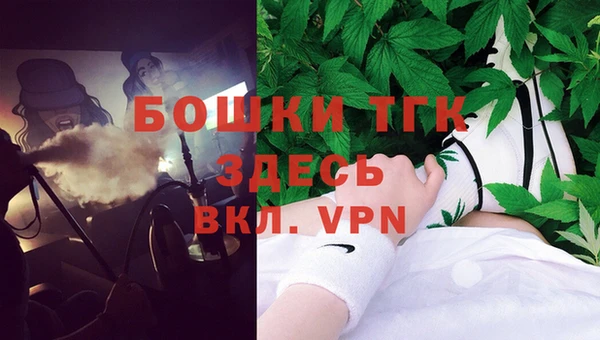 спиды Богородск