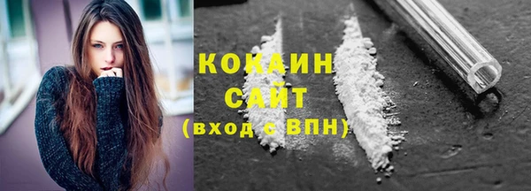 твердый Богданович